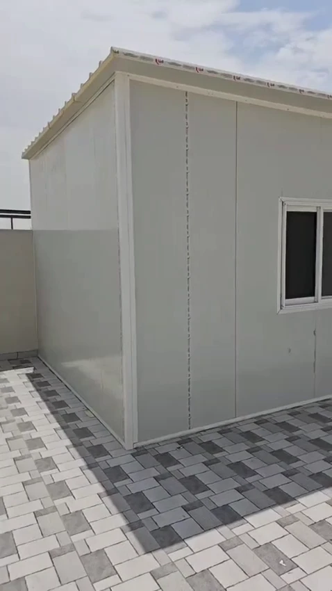 5 20260127 002215 ٠٠٠٤